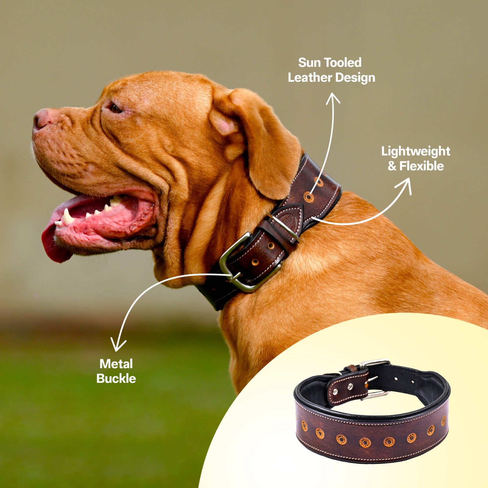 Handcrafted Leather Sun Tooled Dog Collar, Heavy Duty Dog Collar Dogs with Strong Metal Buckle & D-Ring